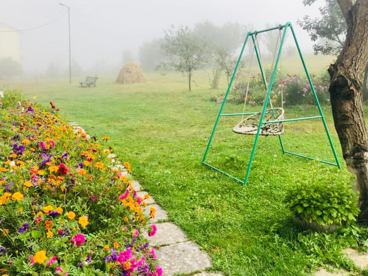 Mikheil Pitskhelauri Guest House Kazbegi Kültér fotó