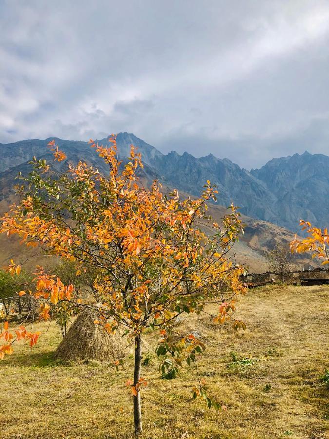 Mikheil Pitskhelauri Guest House Kazbegi Kültér fotó
